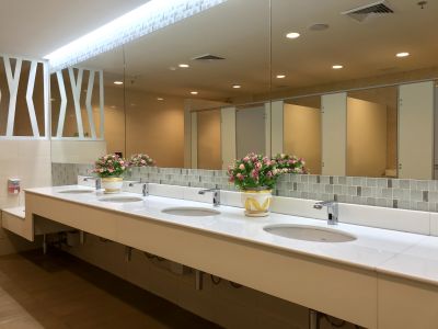Vanity and Sink Installations